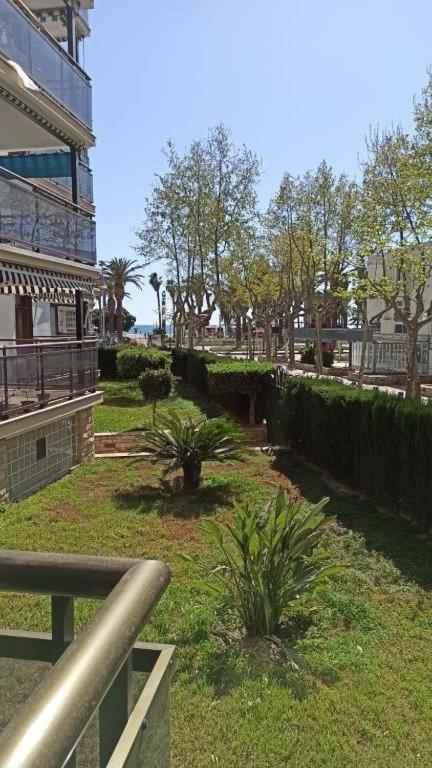 Apartamento En 1ª Linea De Mar En 살루 외부 사진